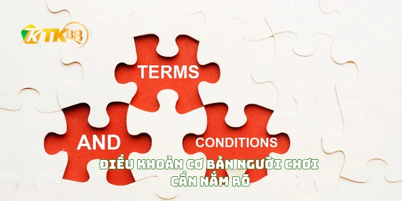 Điều Khoản Cơ Bản Người Chơi Cần Nắm Rõ